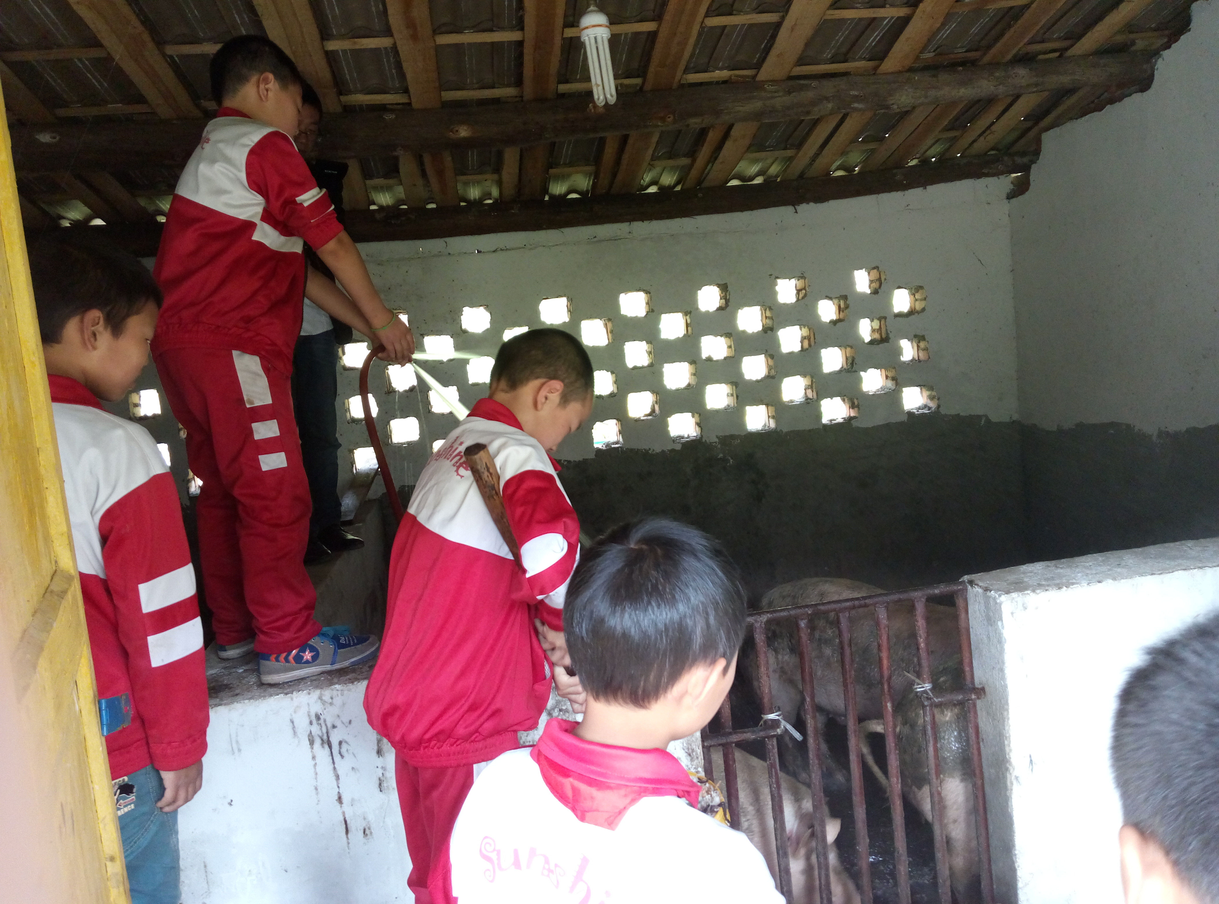 1486969647216376.jpg 喂食与冲洗2_副本1.jpg