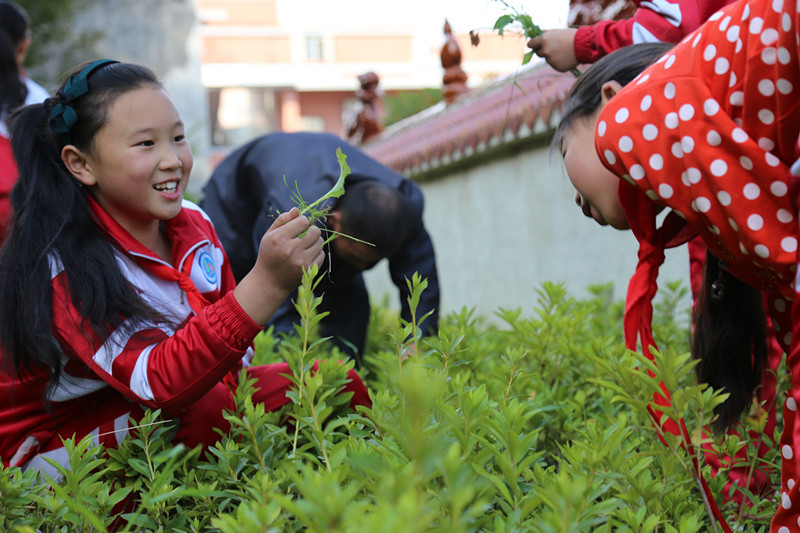 1486969670491812.jpg 劳动的快乐_副本1_副本.jpg