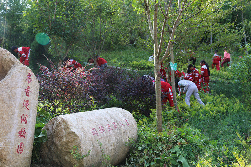 1486969709244219.jpg 一起除草_副本_副本_副本.jpg