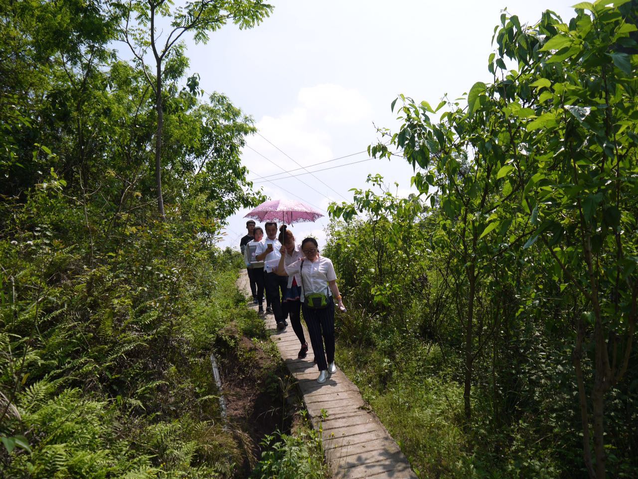 1493083549869057.jpg webwxgetmsgimg (2).jpg