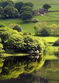 顶新公益基金会2023年度公益项目开展情况工作报告