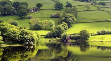 重庆留守青少年“4+1”项目11月份开展安全教育活动