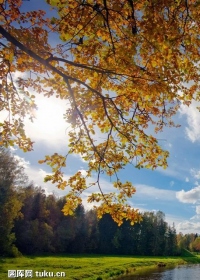 顶新公益基金会2021年度工作报告