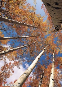 顶新公益基金会2022年度公益项目开展情况工作报告