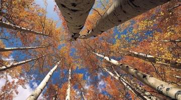 2025年顶新康师傅明日朝阳奖学金往届在校生获得者名单公示