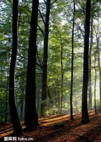 顶新公益基金会2023年度工作报告