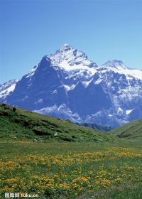 顶新公益基金会2023年度公益项目开展情况工作报告