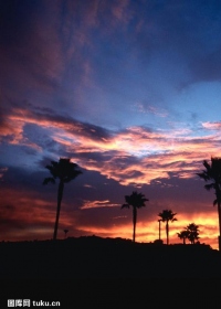 顶新公益基金会2022年度工作报告