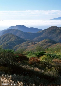 顶新公益基金会2022年度公益项目开展情况工作报告