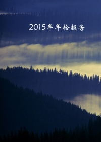 2015年年检报告